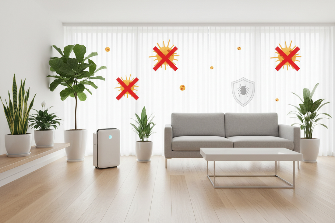 Allergy-Proofing Your Home: The Ultimate Dust & Pollen Defense Strategy