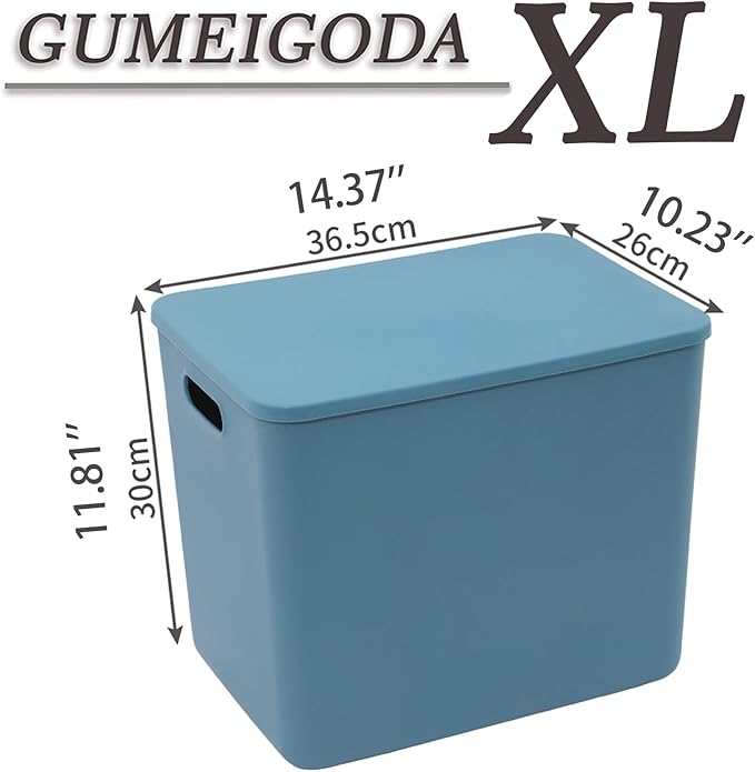 Plastic Storage Bins with lids,Storage Baskets,Container with handle,Storage Organizer Bins for Shelves,Office,Bedrooms,Closets, Cabinets(Blue, 4XL)