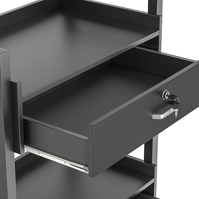 Paddie Salon Trolley Cart, Salon Tray Wooden Mobile Utility Cabinet with 2 Lockable Drawers, Rolling Storage Station Medical Esthetic Supply Holder for Beauty Spa (2 Drawers, Black)