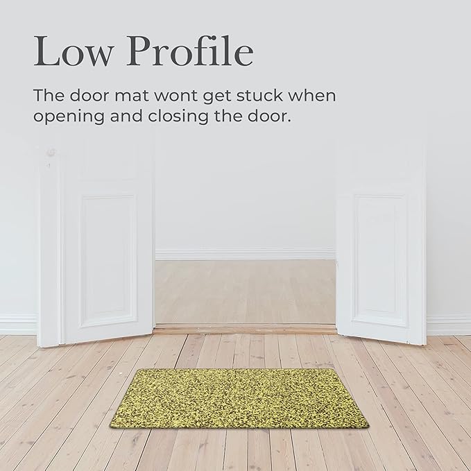 Premium Microfiber Indoor Door Mat – 24"x36" Washable Entry Mat, Non-Slip, Waterproof Backing, Super Absorbent, Low Profile Entryway Doormat for Indoor Entrance