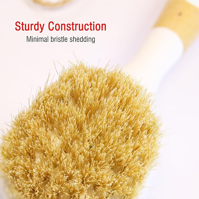 Natural Bristle Dish Brush Set, 1 Wooden Dish Brush and 1 Bamboo Dish Brush with 1 Bamboo Drainer Tray, All Circle Kitchen Scrub Brush for Dishes