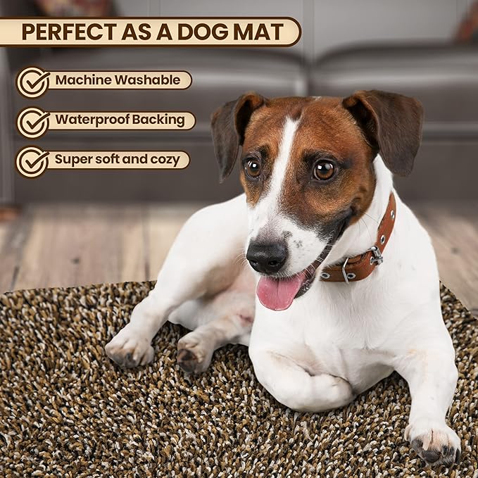Premium Microfiber Indoor Door Mat – 32"x48" Washable Entry Mat, Non-Slip, Waterproof Backing, Super Absorbent, Low Profile Entryway Doormat for Indoor Entrance