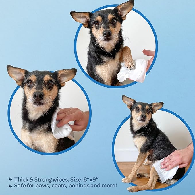Best Pet Supplies Pet Grooming Wipes for Dogs & Cats,Deodorizer for Coats & Dry, Itchy, or Sensitive Skin, Clean Ears, Paws, Body, & Butt - Soothing Oatmeal, 400 Count